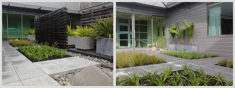 Hospital courtyard transformed into “restful sanctuary - Braemar Private Hospital, Hamilton, New Zealand